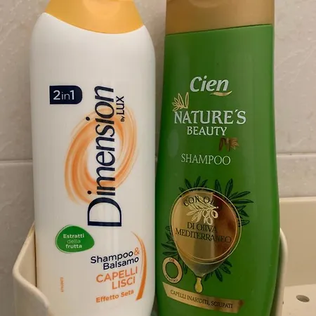 Luminoso Appartamento Ciriè